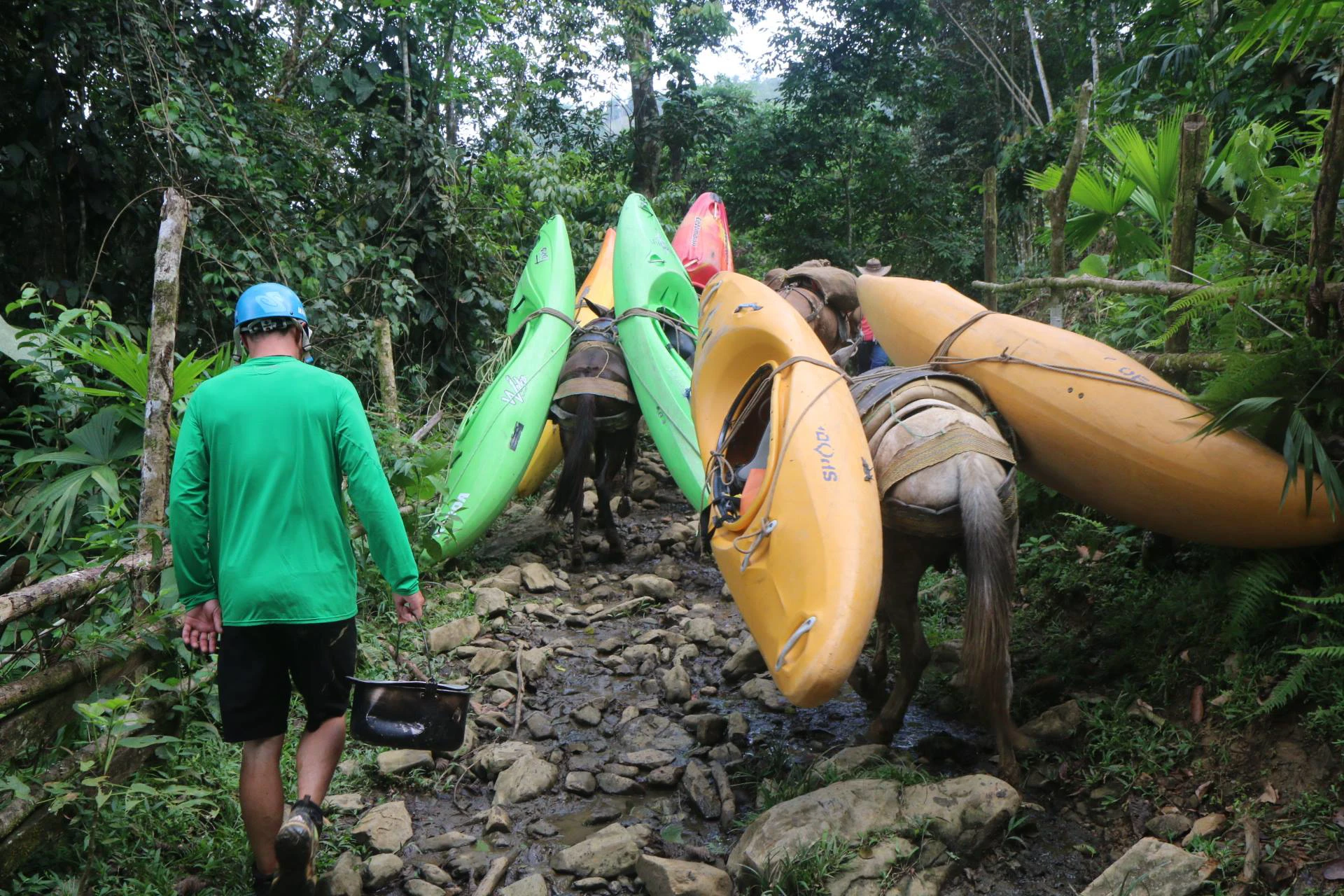 Camina entre montañas y cascadas imponentes hasta llegar a un tramo de río escondido en el corazón de la selva.