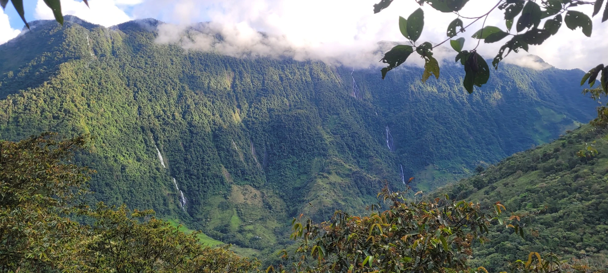 Camino Verde Trek | 2 Days