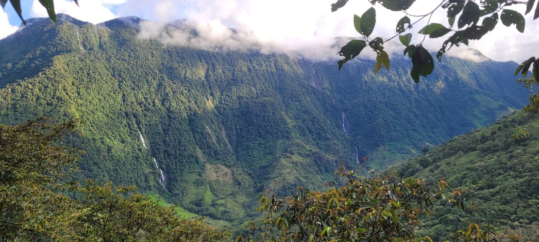 Camino Verde Trek | 2 Days