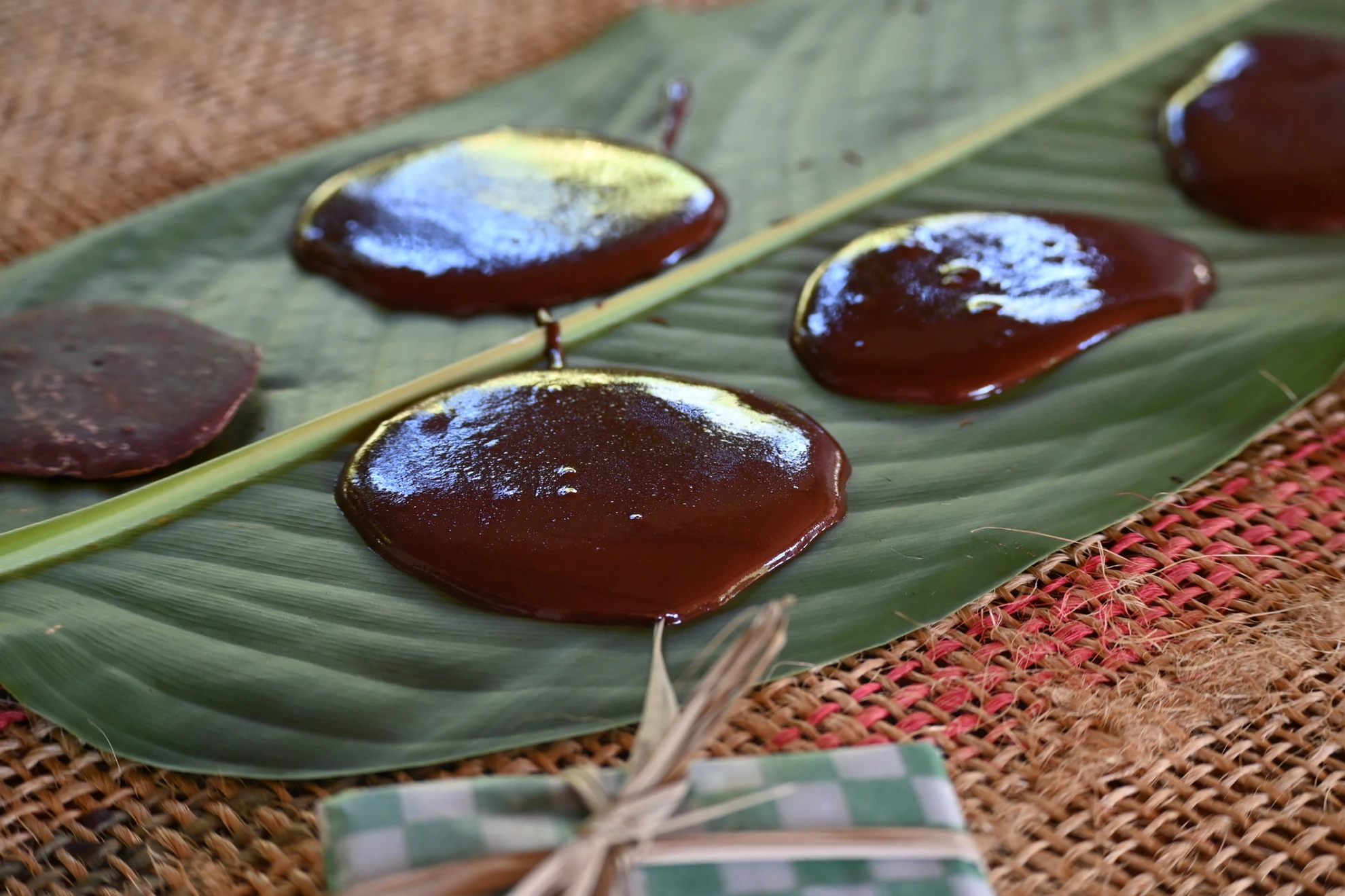 Cacao Farm Experience