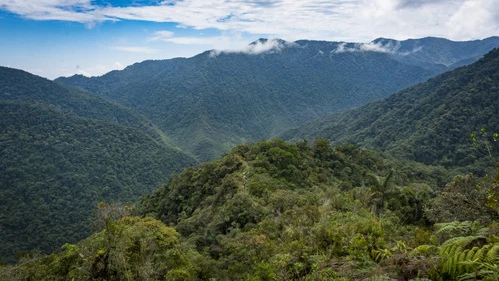 Jungle Trek | 3 Days
