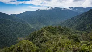 Jungle Trek | 3 Days