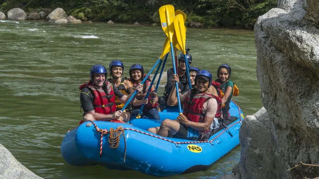 Group of happy clients celebrating with their paddles up in the air
