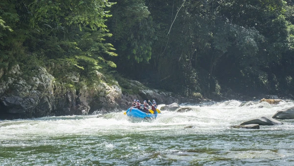 Group of happy clients celebrating with their paddles up in the air