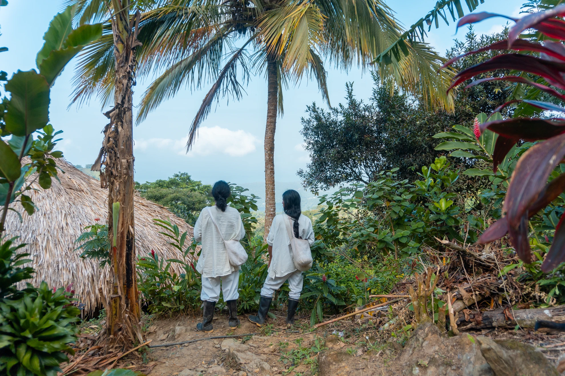 Kogui community guide sharing knowledge about traditional medicinal plants.