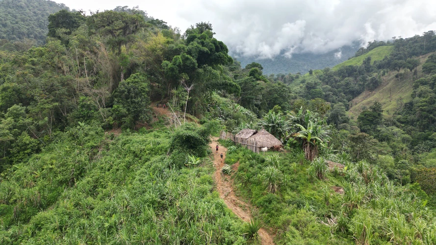 Drone view of the lost city trek with 2 people hiking passing near a traditional house in the jungle