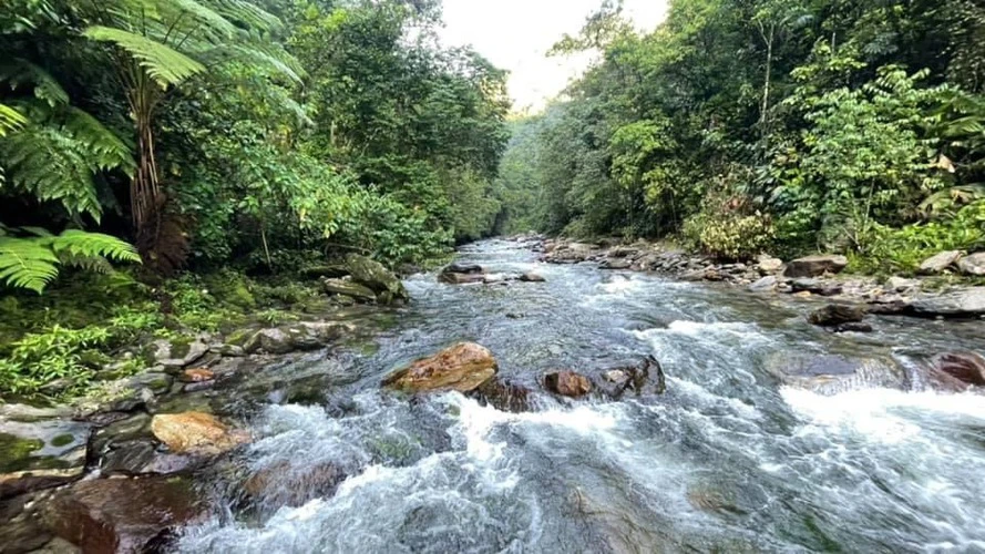 Buritaca river surrounded by the jungle